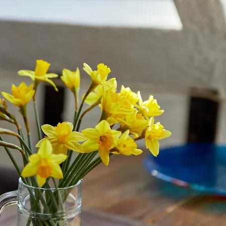 Апартаменты Berntraube 3 *