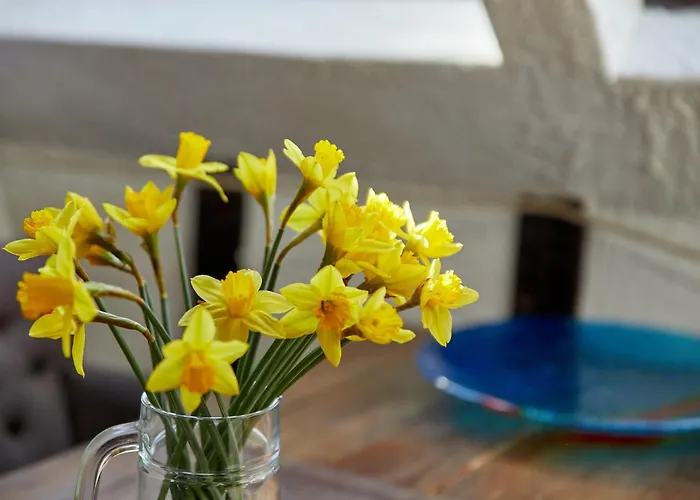 Appartement Berntraube 3 *